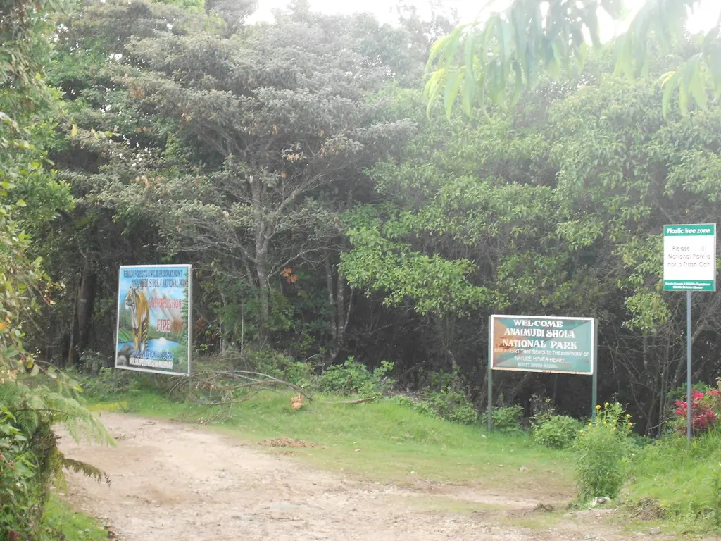 Anamudi Shola eco visit, Munnar