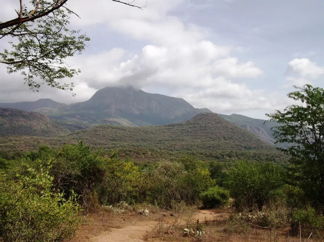 Chinnar Wildlife Sanctuary eco visit, Munnar