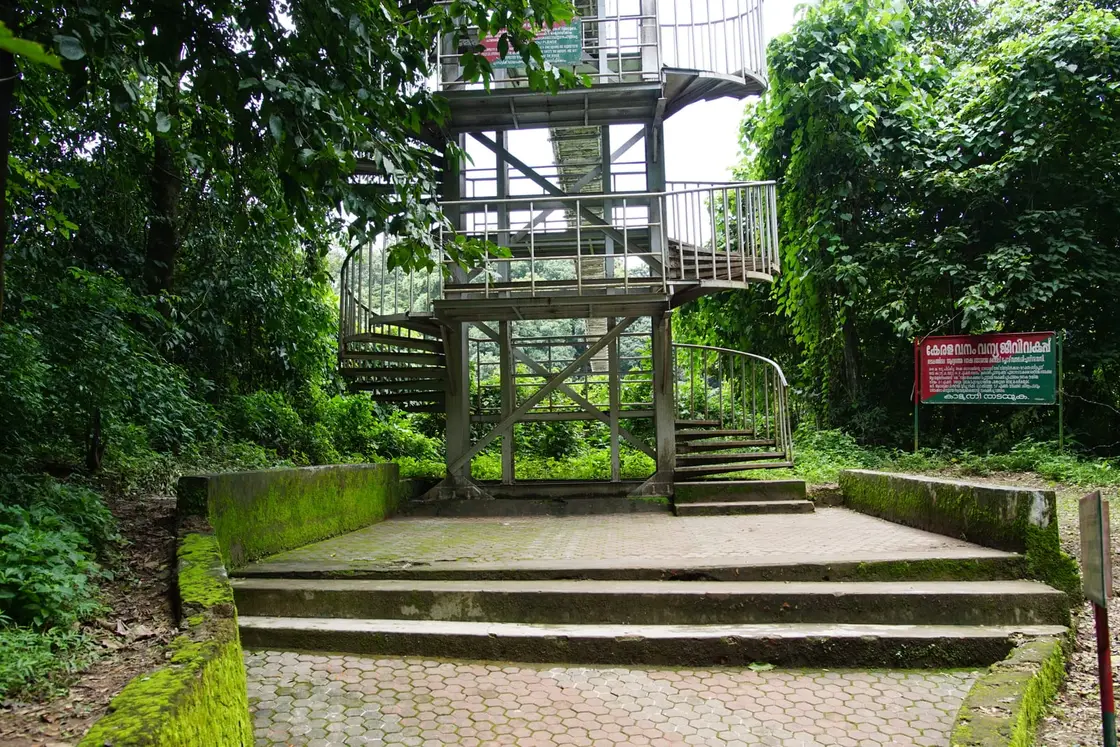 Conolly’s Plot, Nilambur