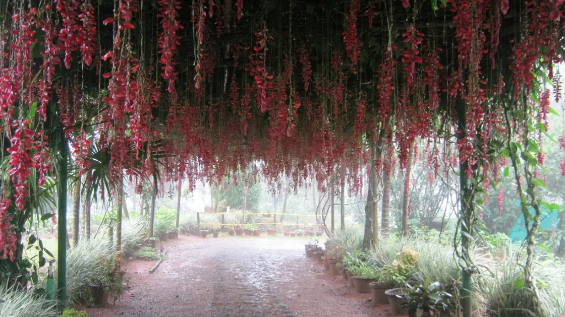 Gavi full-day trekking package, Gavi