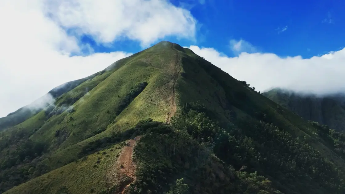 Munnar Rhodo Mansion, Munnar