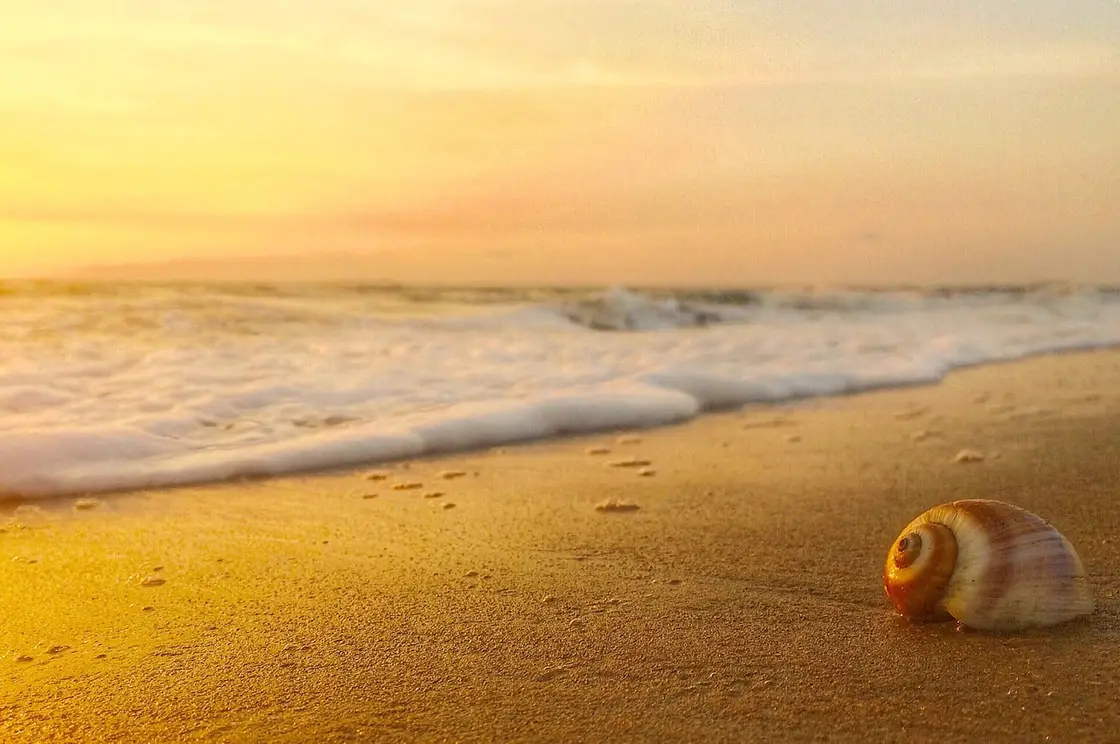 Vypin beaches, Cherai and Vypin