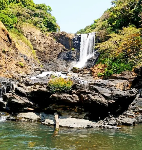 Vajrapoha Falls dropping through the forested Mahadayi headwater landscape.