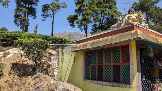 A painted shrine façade beside tea and tall trees on the Nyamakad estate road; an approach detail, not the waterfall.