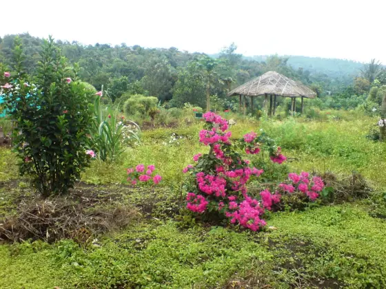 A planted section of Chellarkovil’s garden, with paths winding between the beds.