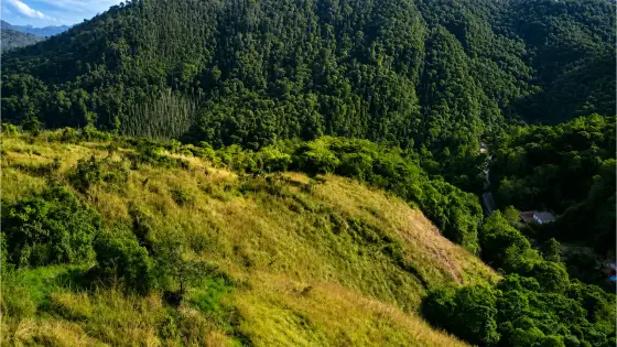 An open Murikkady slope above a wooded valley and ridge.
