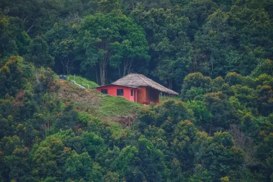The mud-house accommodation occupies a small clearing within the forested landscape.