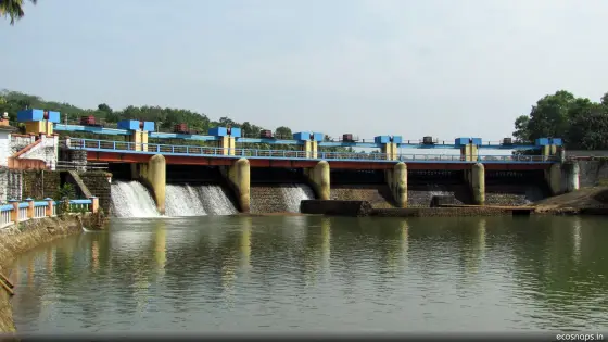 Aruvikkara Dam (1)