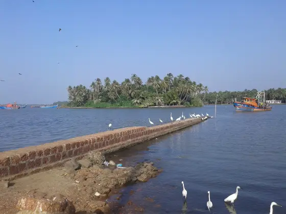 Chaliyam (1)