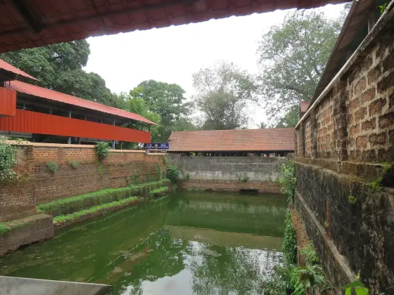Chottanikkara Temple (2)