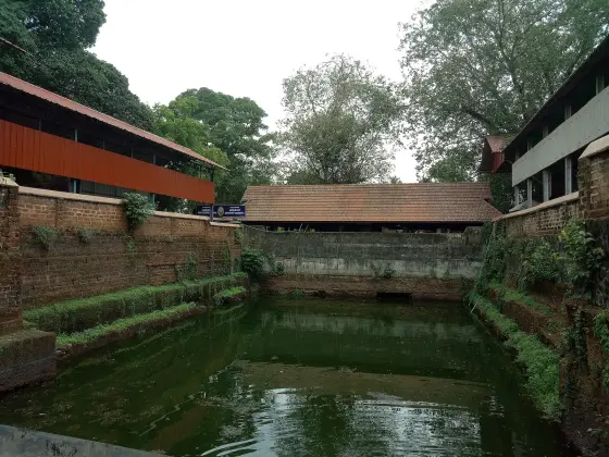 Chottanikkara Temple (3)