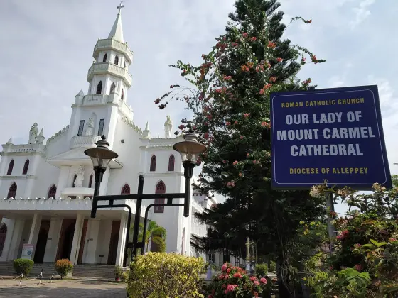 Our Lady of Mount Carmel Cathedral (1)