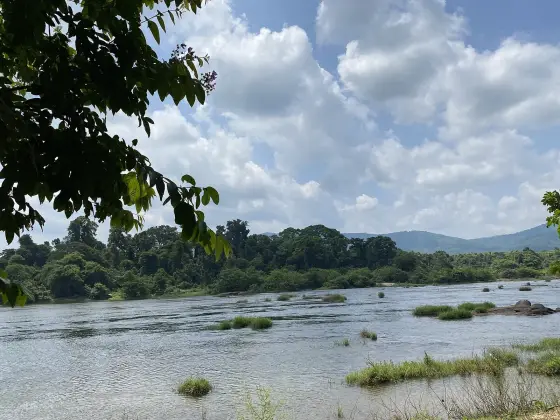 The Periyar running wide and shallow above the rock field at Paniyeli Poru, with grass islands and the Western Ghats behind
