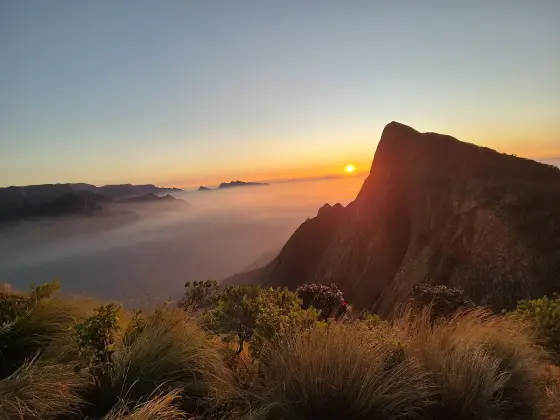 Kolukkumalai (3)