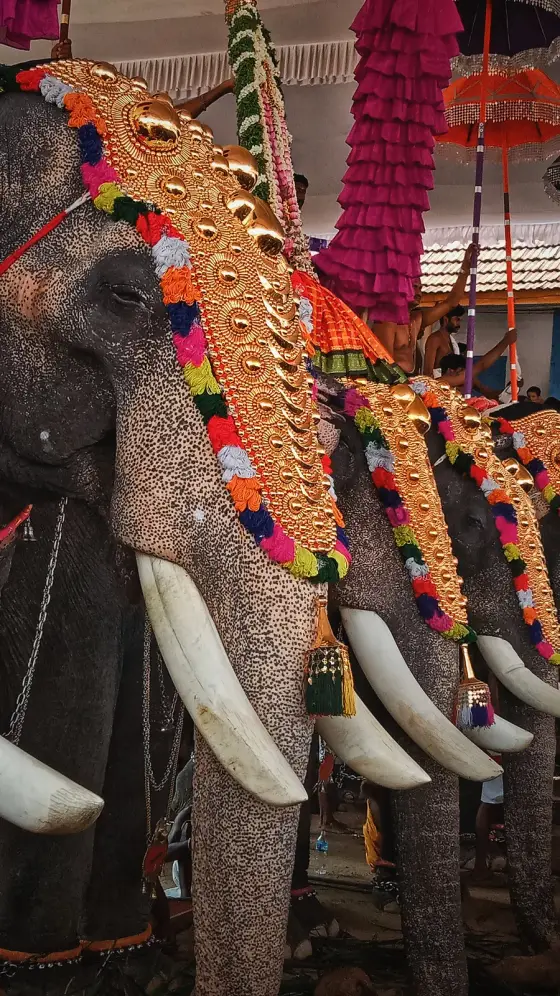 Sree Poornathrayeesa Temple (3)