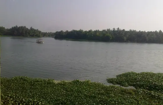 Akkulam Lake (4)