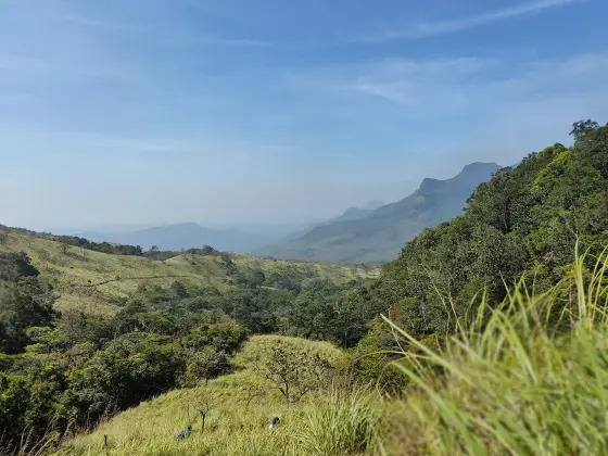 Agasthyakoodam trek (1)