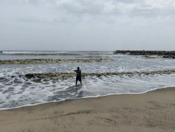 Kozhikode Beach (4)