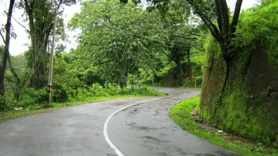 Ponmudi trek (3)