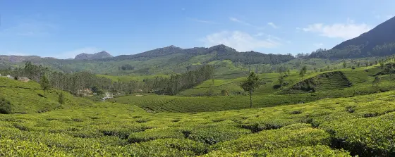 Munnar (2)