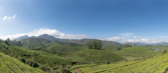 Munnar (3)