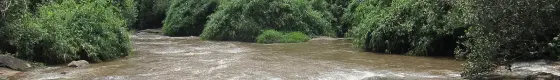 The Periyar running over the rock field at Paniyeli Poru, Ernakulam