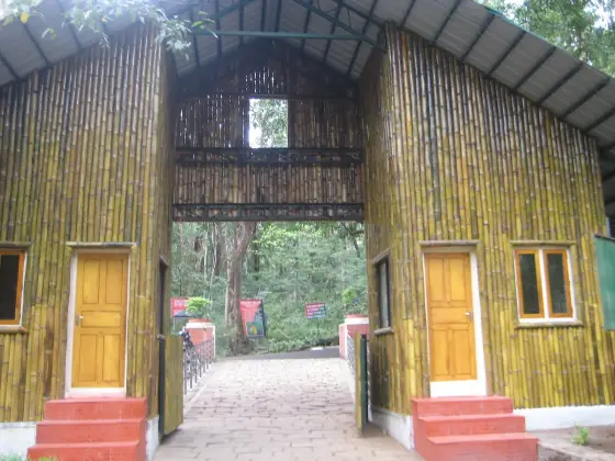 Vazhachal Falls (4)