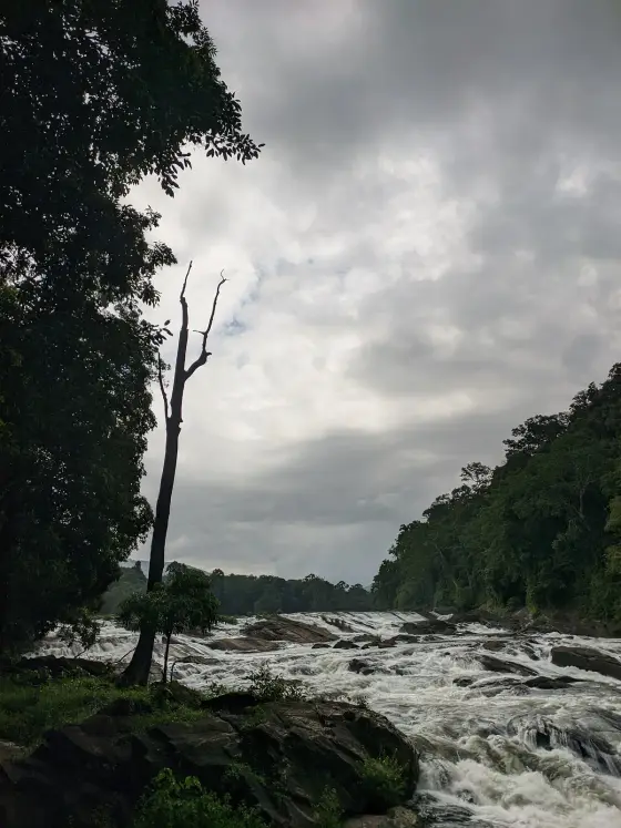 Vazhachal Falls (3)
