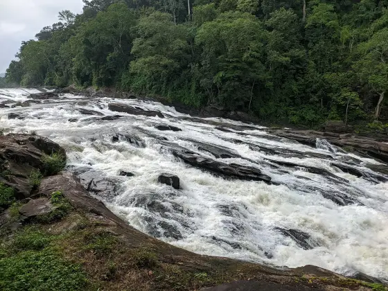 Vazhachal Falls (2)