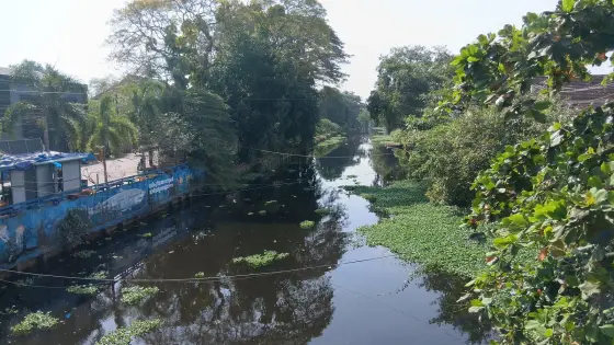 Alappuzha town (4)