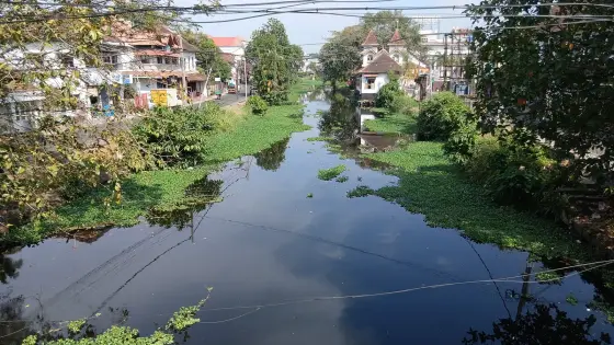 Alappuzha / Alleppey town (2)