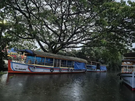Alappuzha / Alleppey town (4)