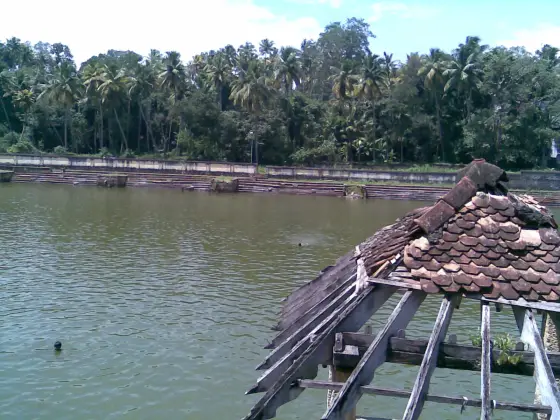 Janardanaswamy Temple (4)