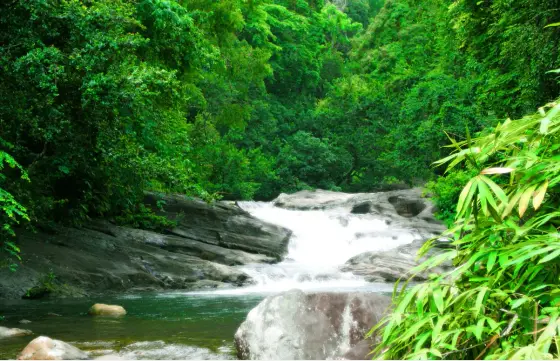 Kallar Meenmutty Falls (4)