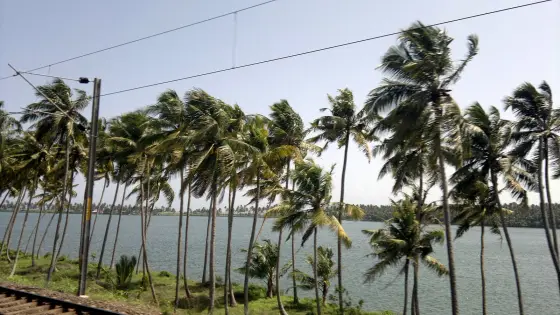 Kappil Beach (4)