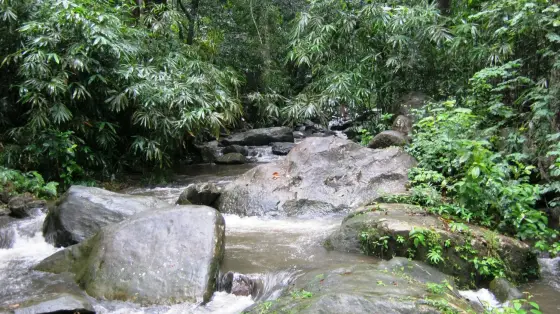 Kallar Meenmutty Falls (3)