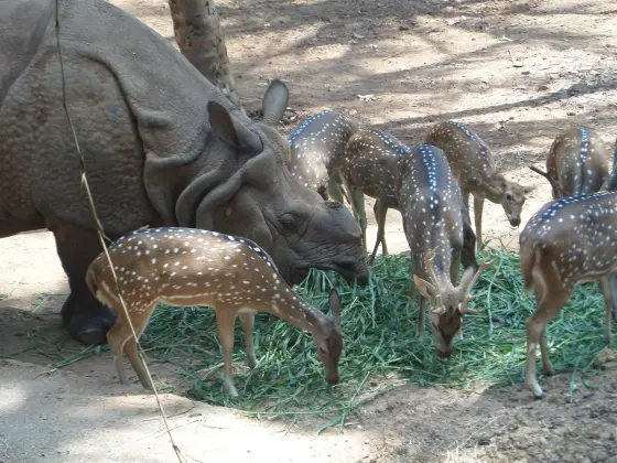 Thiruvananthapuram Zoo (3)