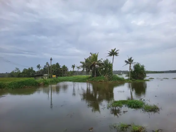 Vellayani Lake (4)
