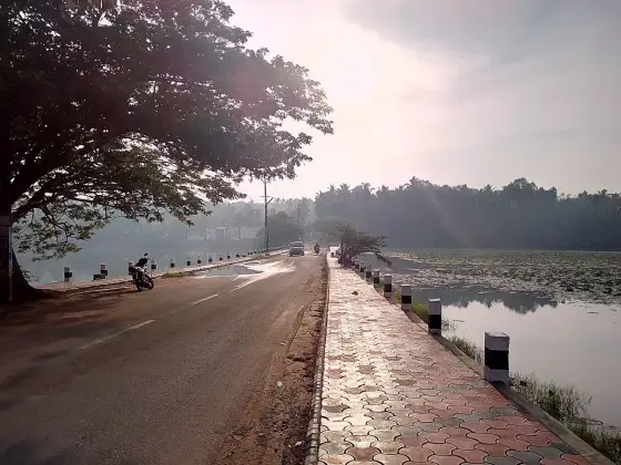 Vellayani Lake (3)