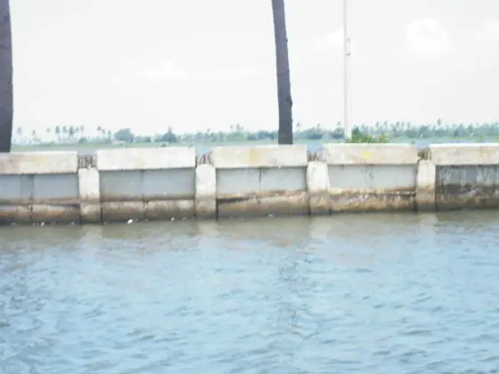 Kuttanad (5)