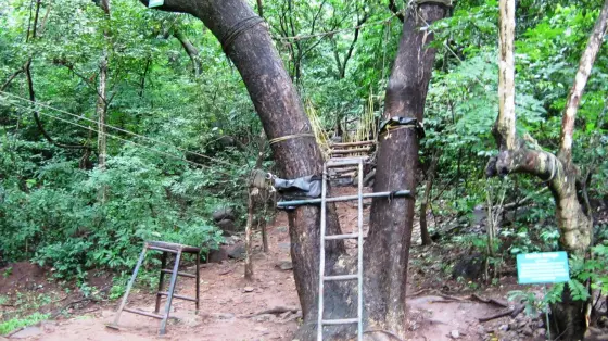 Thenmala trekking (3)