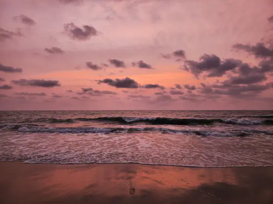 Andhakaranazhi Beach (2)