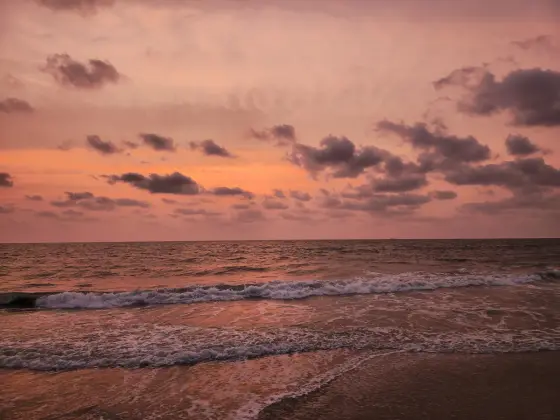 Andhakaranazhi Beach (1)