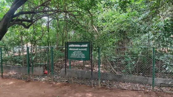 Asramam Adventure Park (4)