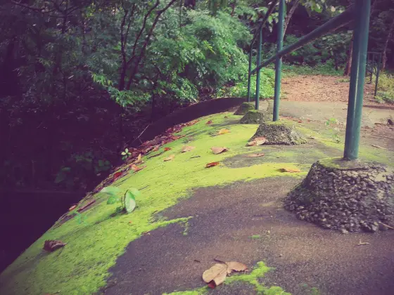 Thenmala trekking (5)