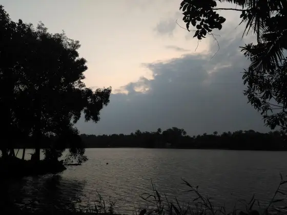 Champakulam (7)