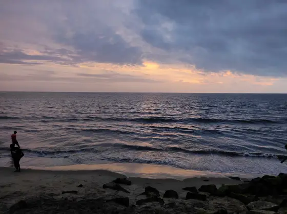 Cherai Beach (3)