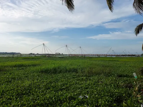Kumarakom (5)