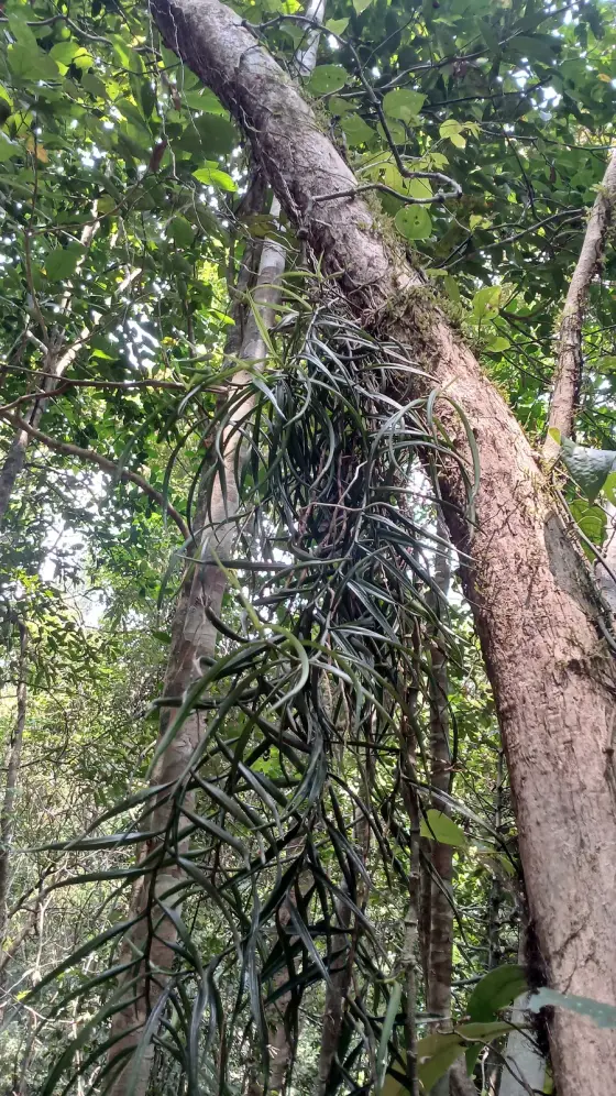 Malabar Wildlife Sanctuary (3)