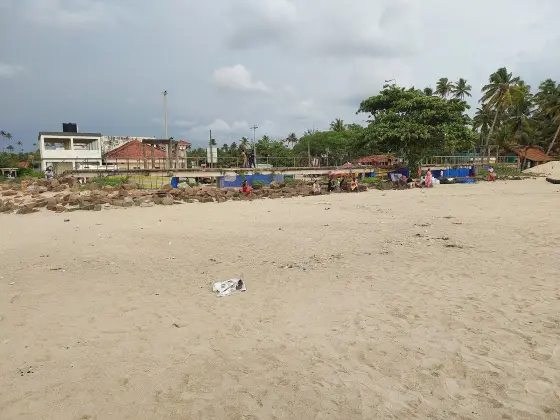 Andhakaranazhi Beach (4)